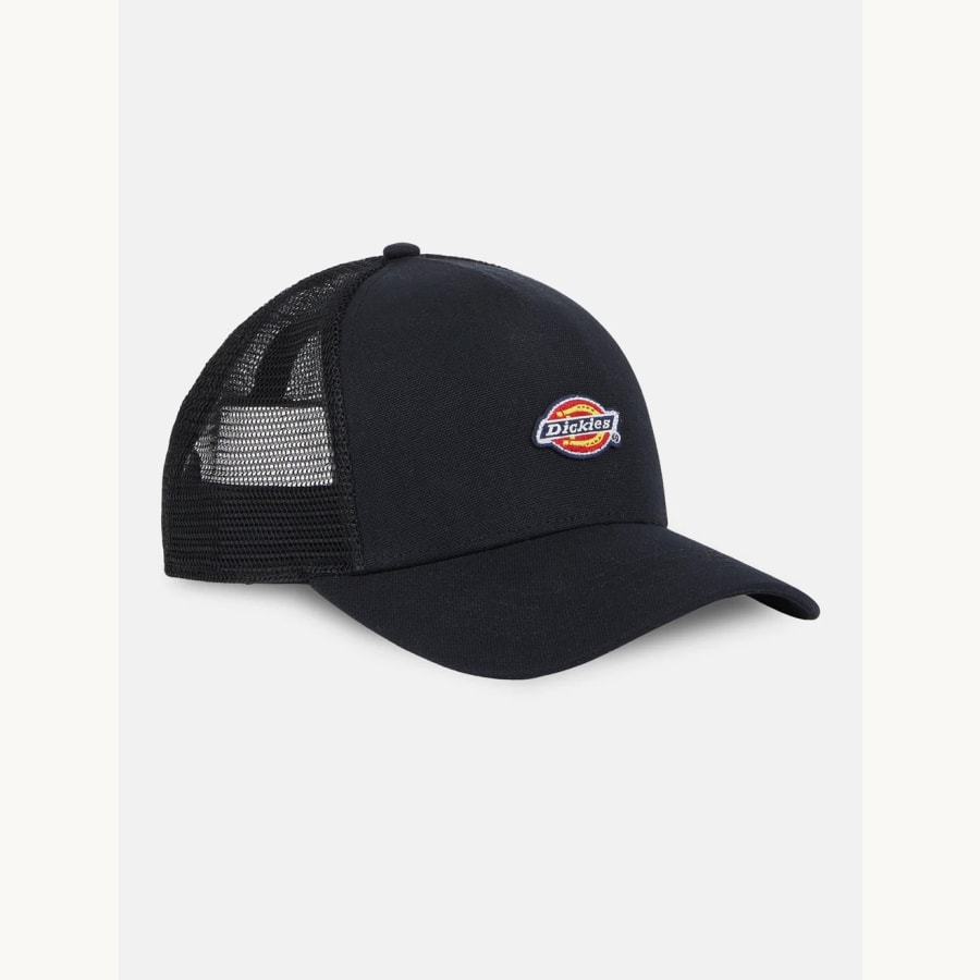 Dickies Hanston Trucker lippis