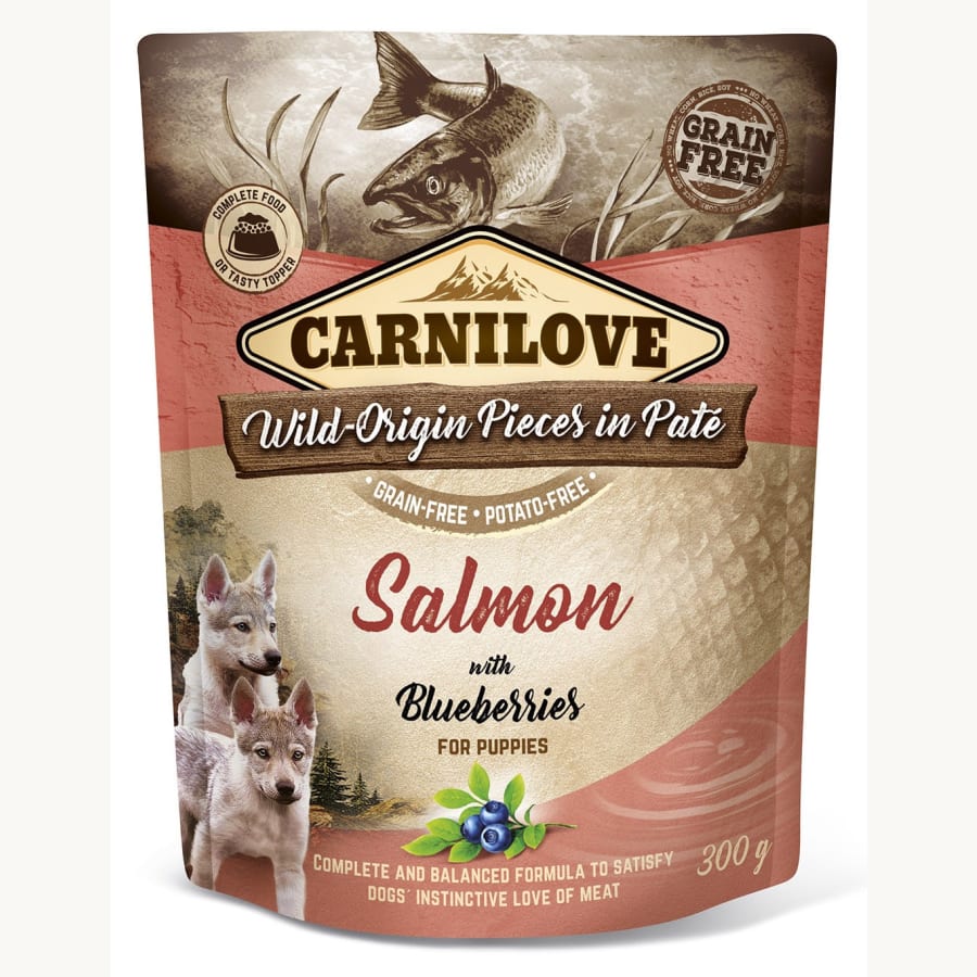 Carnilove Dog Paté Salmon with Blueberry puppy 300 g koiranpennun märkäruoka