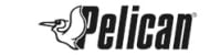 Pelican