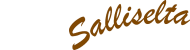 Salliselta