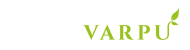 Varpu