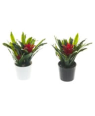 Tekokasvit ja tekokukat