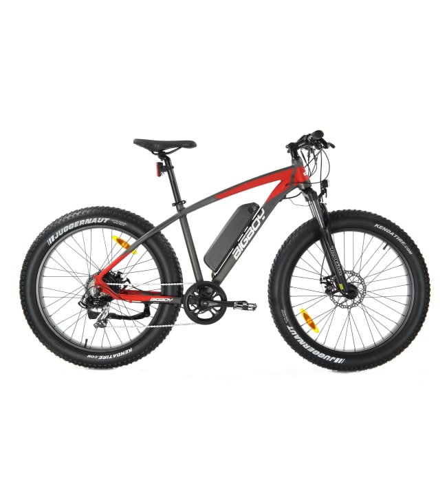 fatbike apollo big boy