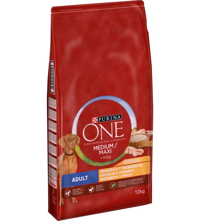 purina one medium