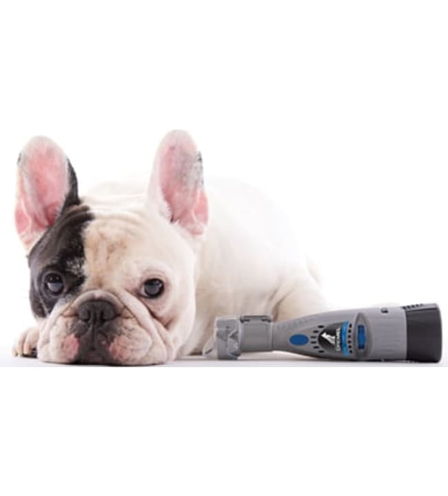 dog dremel