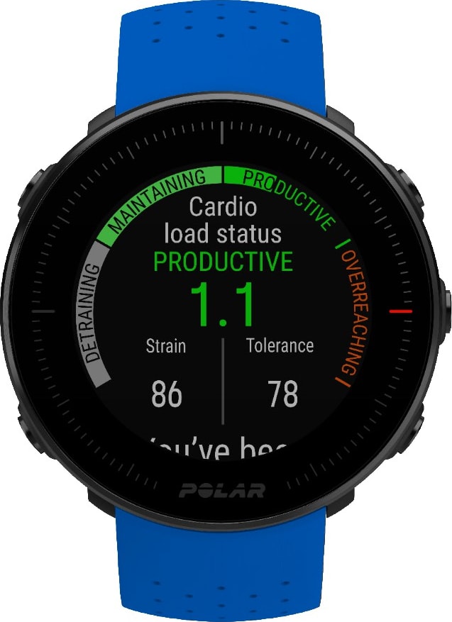 polar vantage kaina