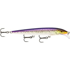 Rapala Scatter Rap Minnow 11cm rod