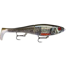 Rapala X-rap Beast 20 cm rod