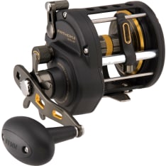 Penn Fathom Ii Level Wind 30 Star Drag 5Bb Rh 4.3:1 Right Conventional Reels