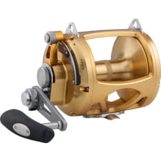 Penn International Visw 80 Lever Drag 5Bb Gold 3.1:1 / 1.5:1 Right Conventional Reels