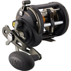Penn Squall Ii Level Wind 20 Star Drag 4Bb 4.9:1 Right Conventional Reels