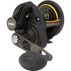 Penn Squall Ii 30 Lever Drag 5Bb 5.3:1 Right Conventional Reels