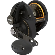 Penn Squall Ii 40 Lever Drag 5Bb 7.1:1 Right Conventional Reels
