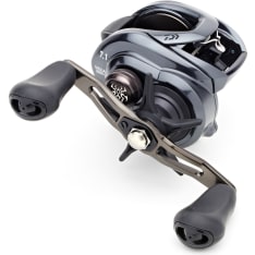 Daiwa Tatula 300H rental shrimp