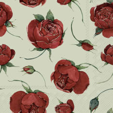 IHR Rosella vaaleanvihreä 20 kpl lautasliina