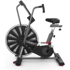 Schwinn Airdyne AD 8 exercise bike