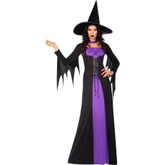Adult Costume Classic Witch