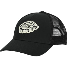 Dickies Irondale Trucker Cap lippalakki