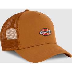 Dickies Hanston miesten lippis
