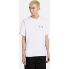 Dickies Circle Logo miesten t-paita