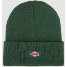 Dickies Gibsland beanie K