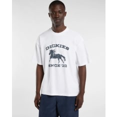 Dickies Owyhee men's t-shirt