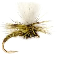 Fulling Mill Klink Lt Olive pintaperho
