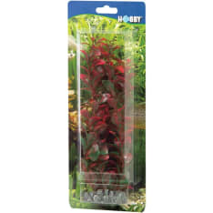 Hobby Ludwigia 34 cm muovikasvi