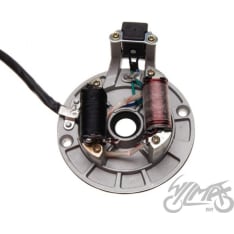 WM stator Mini Enduro 125cc