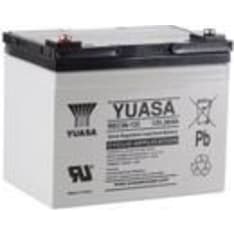 Yuasa REC36-12I 12V 36Ah AGM-akku