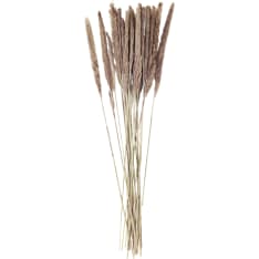 Madam Stoltz 75-85cm dried hay