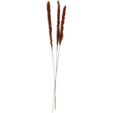 Madam Stoltz 75-85cm dried hay