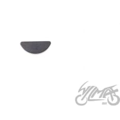 WM AM6 magnetless wedge