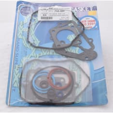 Ski-Doo/Lynx 600 Seal Kit