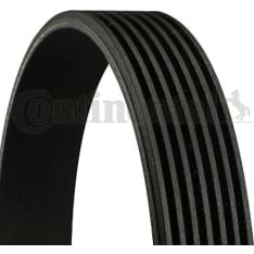 Continental 7PK1076CT moniurahihna