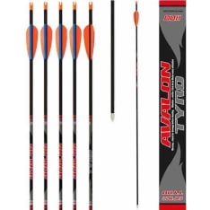 Avalon Tyro target arrow