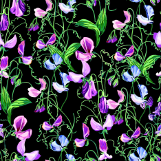 Digiprint Sweat Pea 150 cm trikookangas