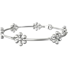 Pet bracelet Pet bracelet