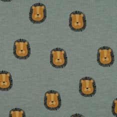 Lions 138 cm collegekangas