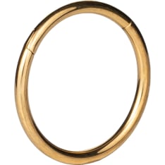 Silver Wave ER800 clicker hinge ring
