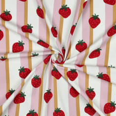 Fruits 148 cm jersey