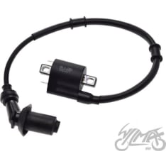 WM ZLP2011 ignition coil