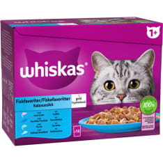 Whiskas 1+ 12 x 85 g kalasuosikit hyytelössä