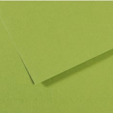 Canson Mi-Teintes 160 g 50x65 cm carton
