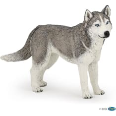 Papo Siberian Husky Dog