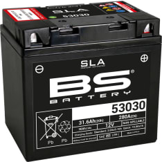BS Battery 53030 (FA) SLA 12V 30Ah acc