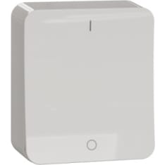 Schneider Electric Exxact 2-pintakytkin