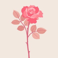 Figure'd Art Blooming Pink Rose mini numeromaalaus
