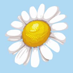 Figure'd Art Pretty Daisy mini numeromaalaus