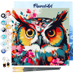 Figure'd Art Mini numeromaalaus Fantasy Owl